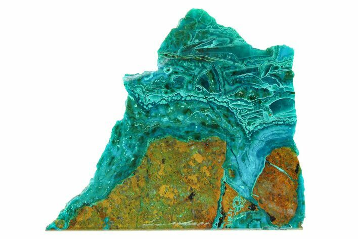 Polished Banded Chrysocolla Section - Bagdad Mine, Arizona #298433